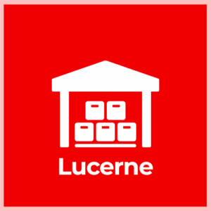 Storage – Letters (after 30/60 days) - Lugano