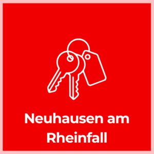 Keychain - Neuhausen am Rheinfall