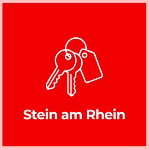 Keychain - Stein am Rhein