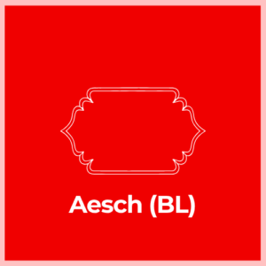 Mailbox Plaque -Aesch (BL)