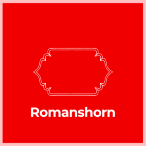 Mailbox Plaque -Romanshorn