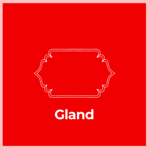 Mailbox Plaque -Gland