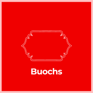 Mailbox Plaque -Buochs