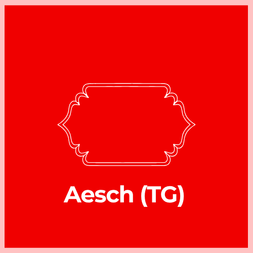 Mailbox Plaque - Aesch (TG)