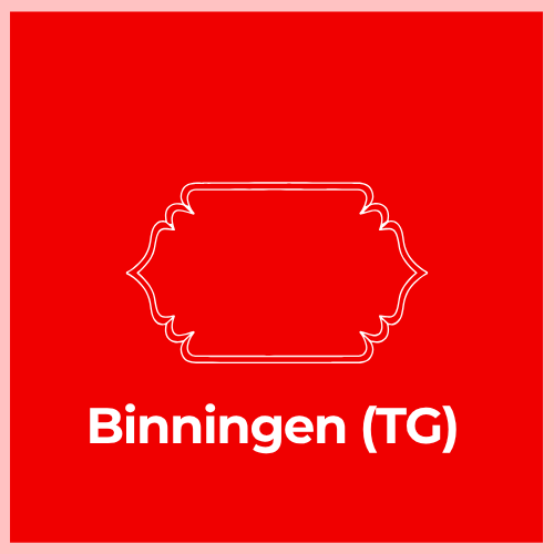Mailbox Plaque - Binningen (TG)