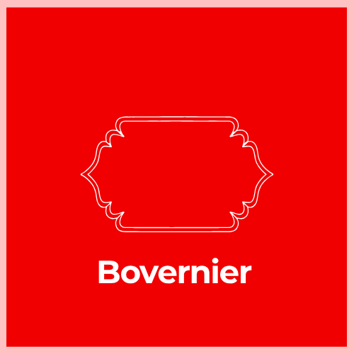 Mailbox Plaque - Bovernier